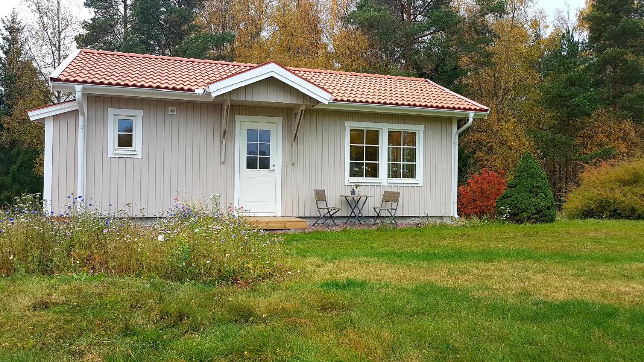 Nybyggd Stuga Intill Skogsbrynet - New Built Cottage Next To The Cowberry Forest Mora Bagian luar foto